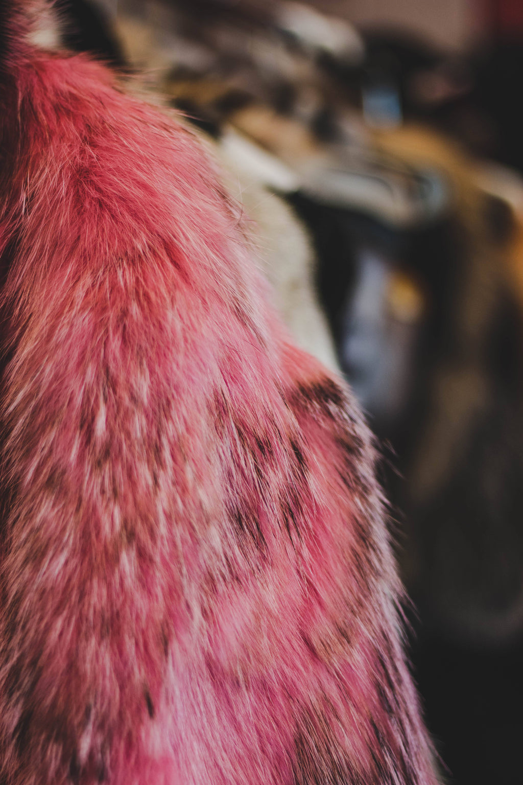 45 | Men's Coyote Jacket With Hood Trim Fox men's Starlight Furs 